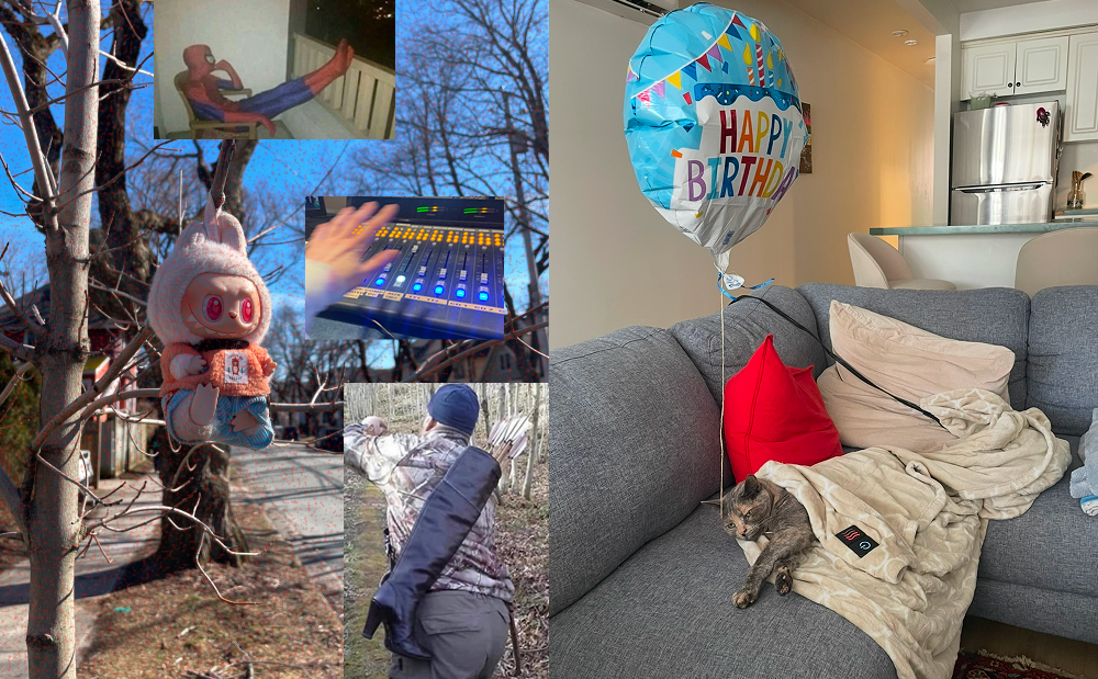 weird collage with labubu and mable cat